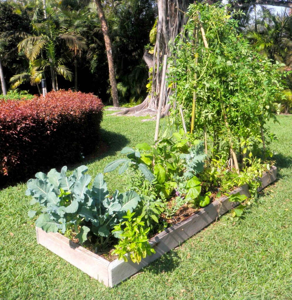 A maintained garden