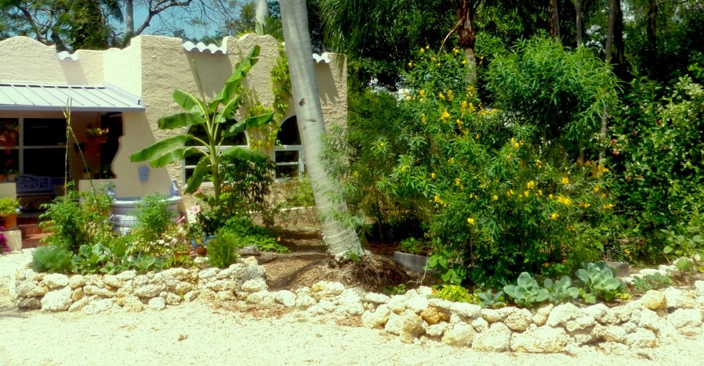 Edible Landscaping with coral rock beds