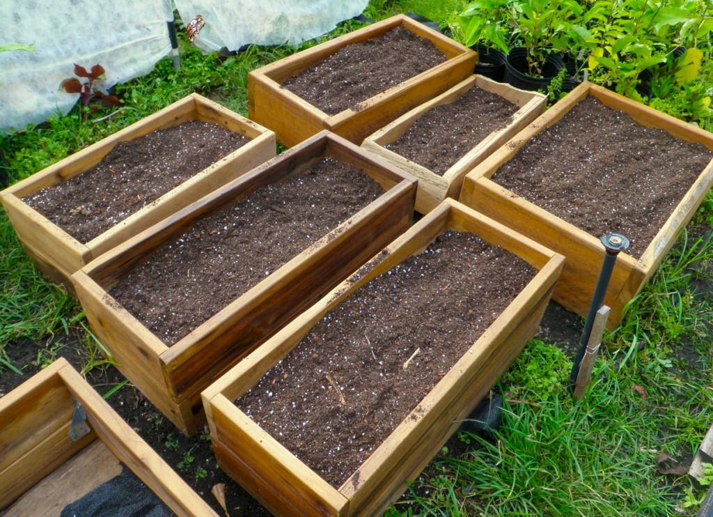 Mini Gardens