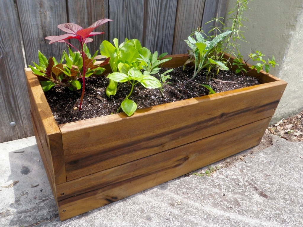 Ready-to-Grow Mini Garden Package