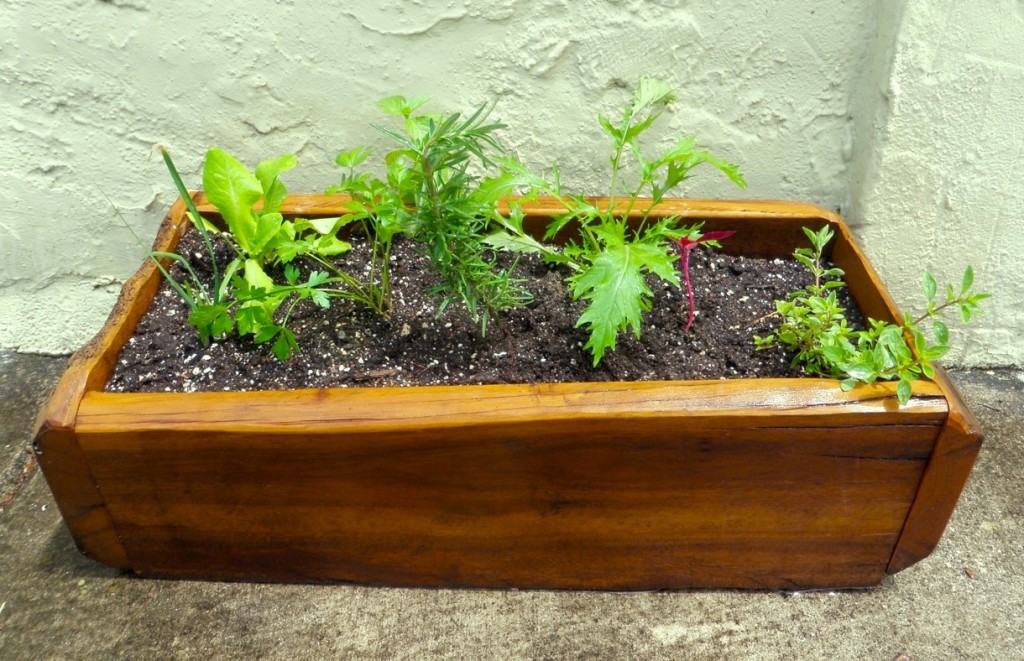 Mini Raised Bed Gardens