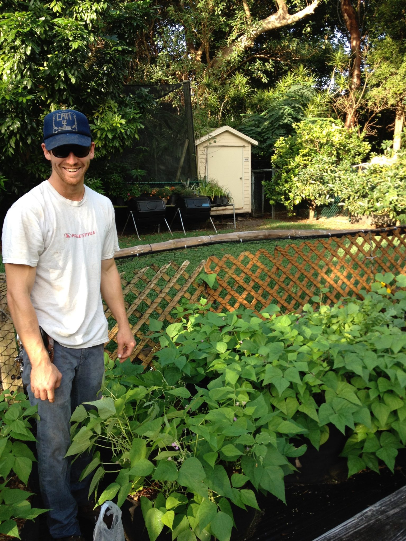  Grow vegetable plants, herb plants and fruit trees in Miami and South