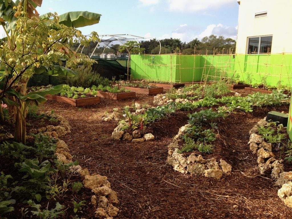 custom edible landscape school garden